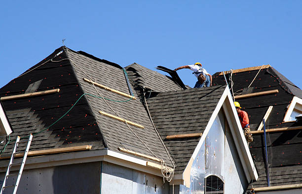 Best Shingle Roofing Installation  in Sleepy Hollow, WY