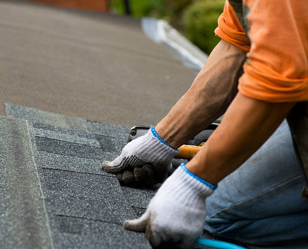 Best Metal Roofing Contractor  in Sleepy Hollow, WY
